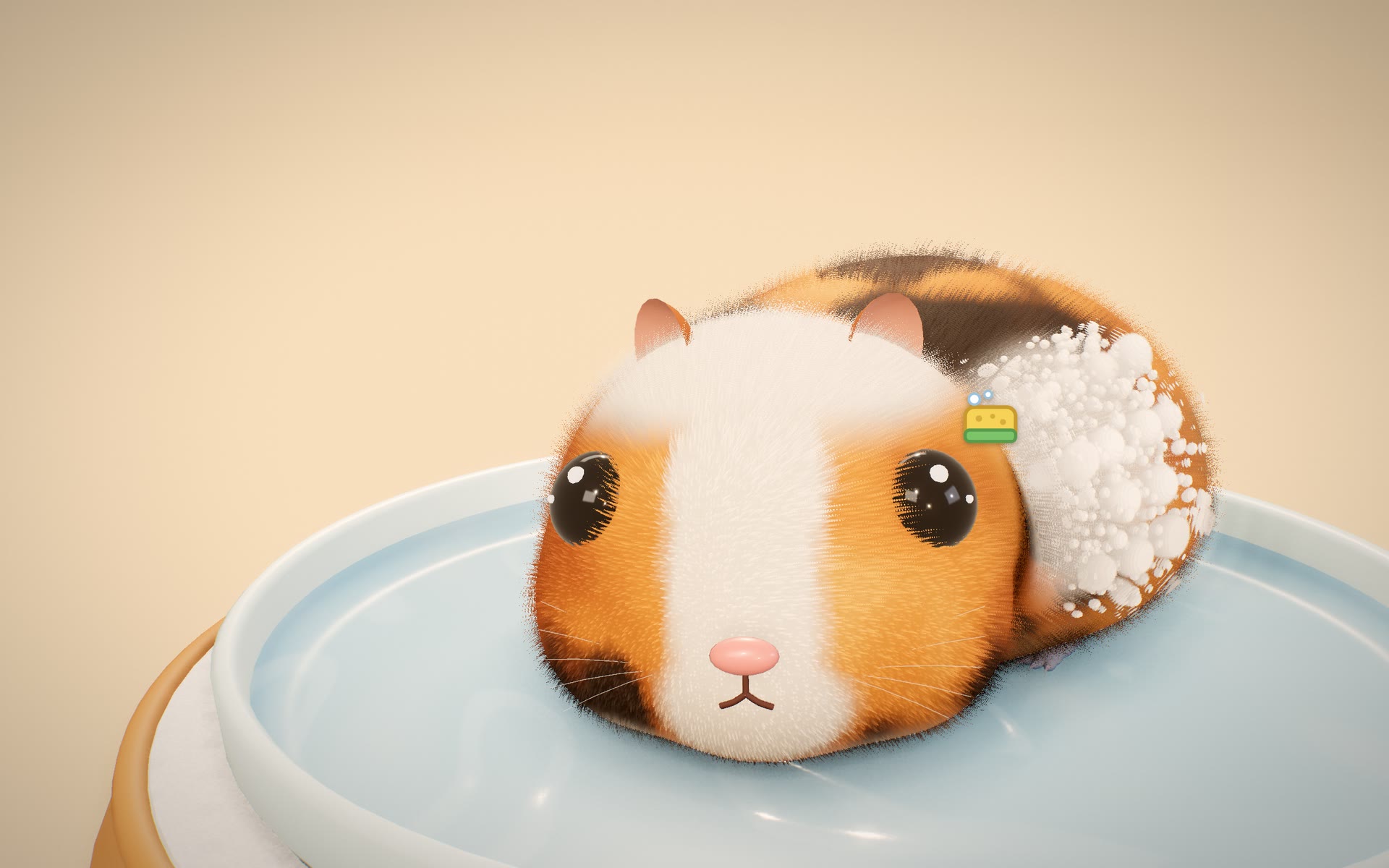 Ein Meerschweinchen in der Waschschüssel, Schaum auf dem Rücken, daneben der Schwamm