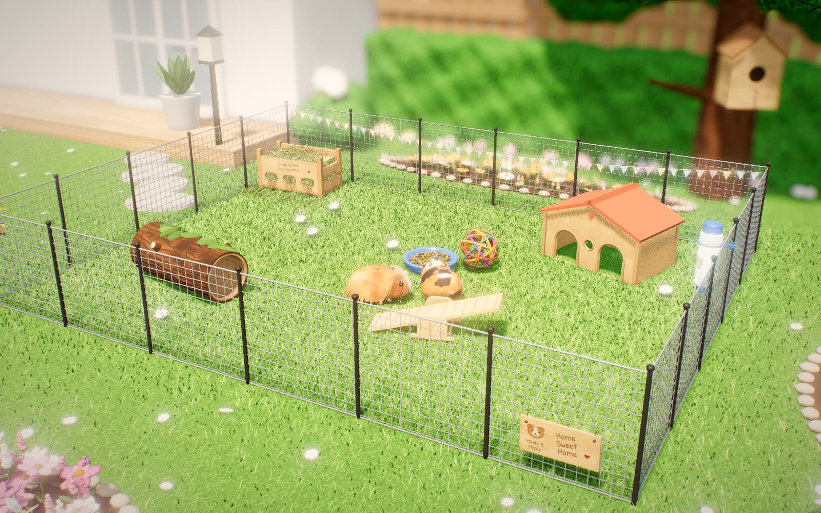 Fangen spielen, Gänseblümchen knabbern, wippen: Im Garten haben die Meerschweinchen jede Menge Platz.
