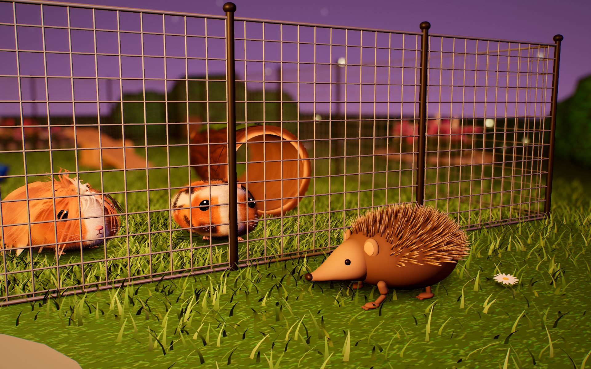 Nachts läuft ein Igel am Gartenzaun entlang, zwei Meerschweinchen schauen ihm durch das Gitter zu
