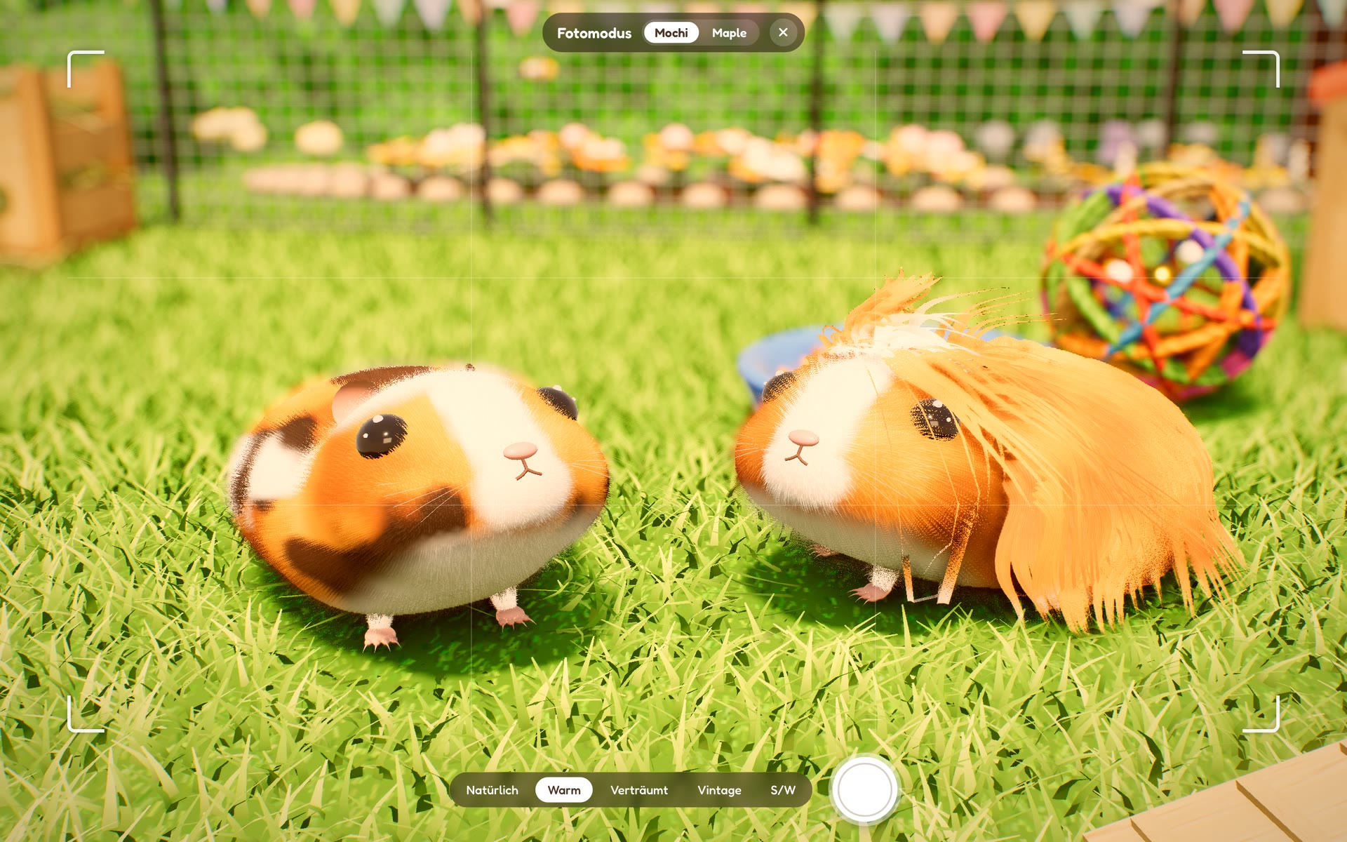 Fotomodus im Spiel: Rahmen, Filterauswahl und Auslöser über zwei Meerschweinchen im Gras