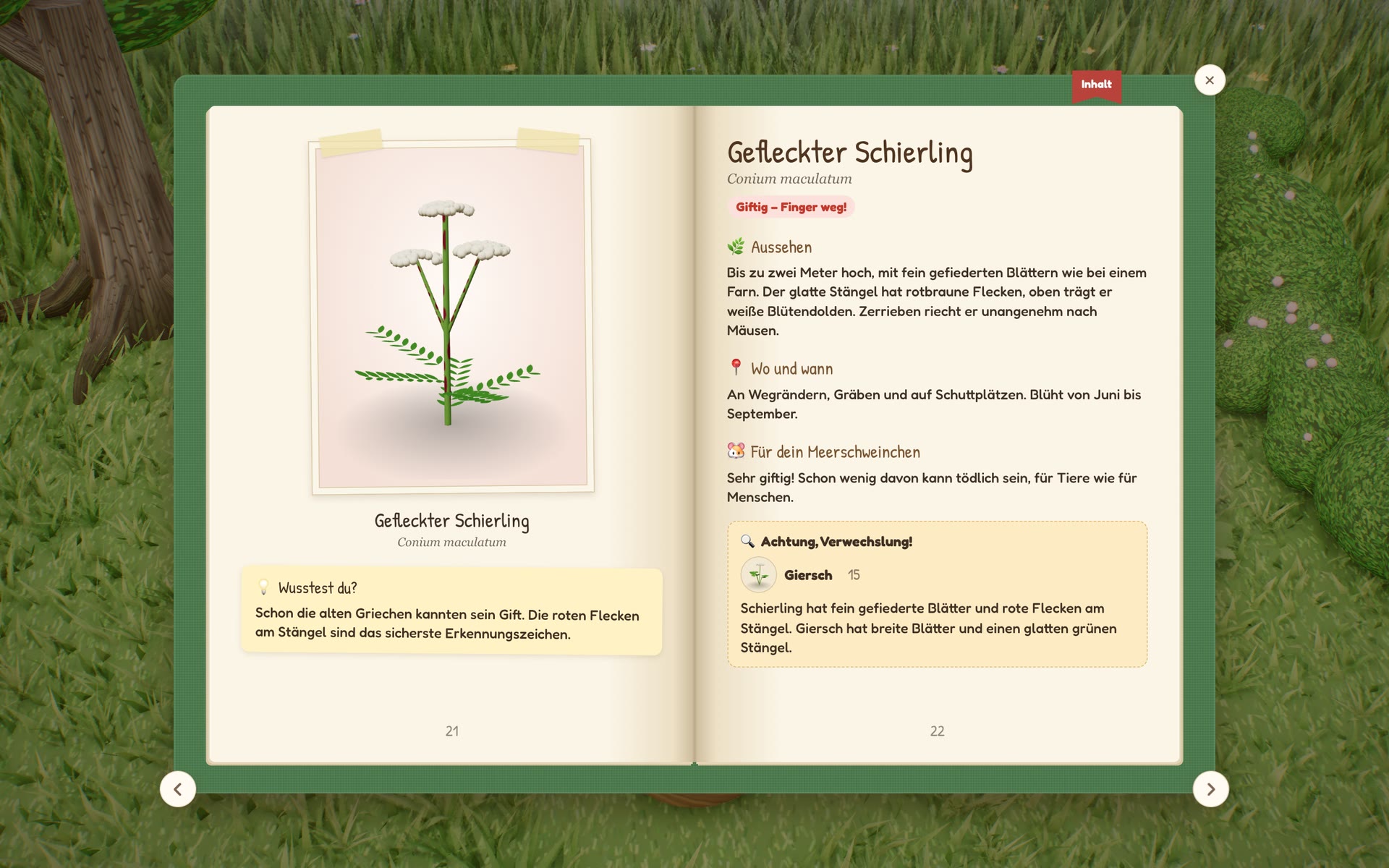 Das Pflanzenbuch im Spiel, aufgeschlagen beim Gefleckten Schierling, mit dem Hinweis auf seinen Doppelgänger Giersch